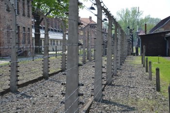 Auschwitz