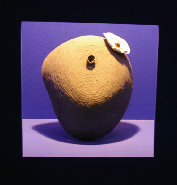 IMGP4839