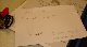 DSC04738