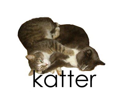 Katter