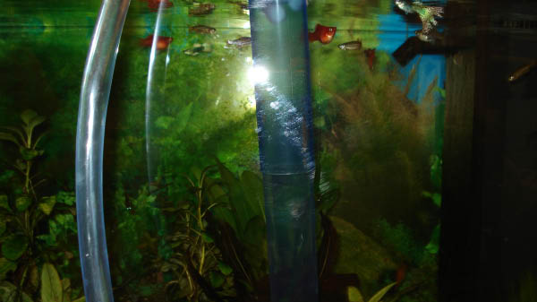 DSC05671
