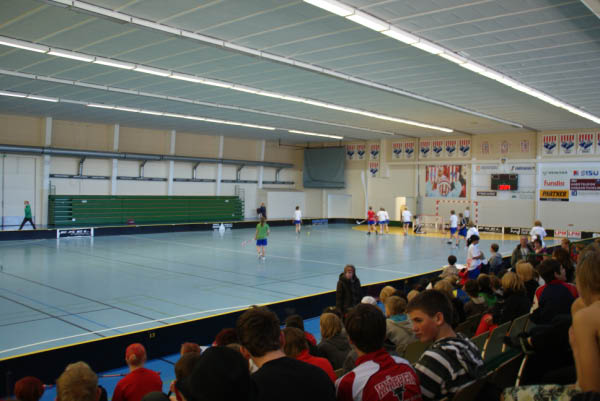 s&auml;hly (132)