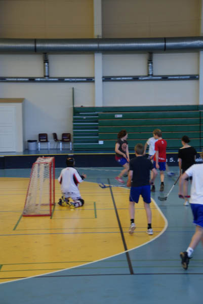 s&auml;hly (97)