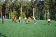 IMGP2566
