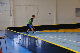 h&ouml;stsportdag