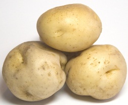potatis.jpg